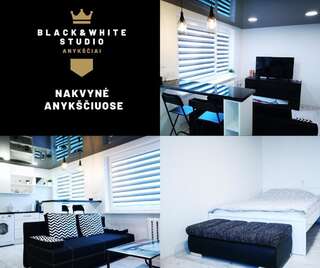 Апартаменты Black & White Studio Аникщяй Апартаменты с 1 спальней-1